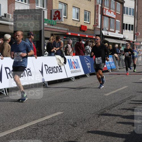 15.09.2024 - PSD Bank Halbmarathon Michael Strokosch http://msf.ph/oto/7061362 15.09.2024 11:45:53 Ziel 446, 948, 982, 1209, 1326, 1347, 1351, 1975, 2539, 2645, 2705, 2988 meine-sportfotos.de