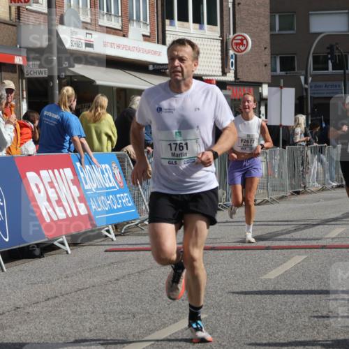 15.09.2024 - PSD Bank Halbmarathon Michael Strokosch http://msf.ph/oto/7061519 15.09.2024 11:46:22 Ziel 967, 1202, 1358, 1474, 1541, 1761, 2162, 2677, 2680 meine-sportfotos.de