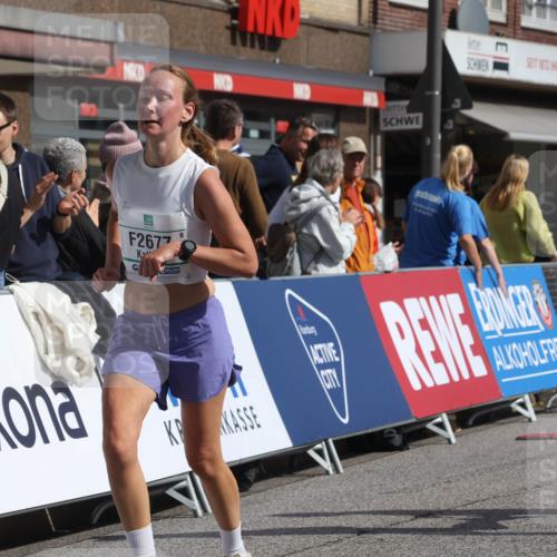 15.09.2024 - PSD Bank Halbmarathon Michael Strokosch http://msf.ph/oto/7061533 15.09.2024 11:46:25 Ziel 779, 784, 786, 967, 1202, 1358, 1474, 1761, 2162, 2677, 2680, 2681, 3560 meine-sportfotos.de