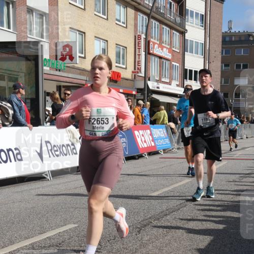 15.09.2024 - PSD Bank Halbmarathon Michael Strokosch http://msf.ph/oto/7061744 15.09.2024 11:47:02 Ziel 832, 1195, 1261, 1269, 1369, 1412, 1531, 1641, 1789, 1886, 1897, 2176, 2630, 2653 meine-sportfotos.de