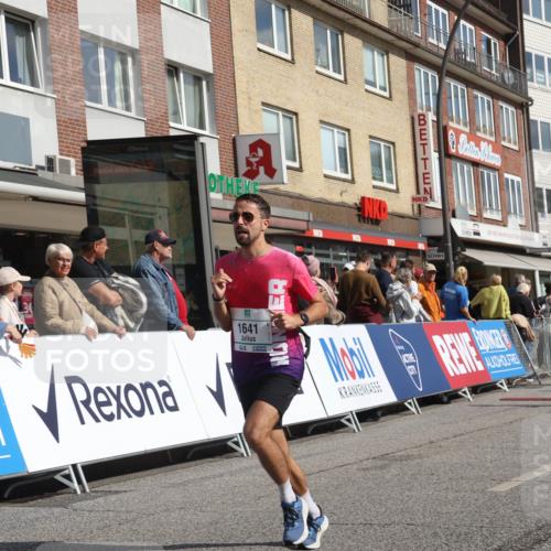 15.09.2024 - PSD Bank Halbmarathon Michael Strokosch http://msf.ph/oto/7061792 15.09.2024 11:47:11 Ziel 1053, 1078, 1195, 1269, 1369, 1488, 1641, 1789, 2491, 2532, 2533, 2653 meine-sportfotos.de