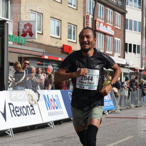 15.09.2024 - PSD Bank Halbmarathon Michael Strokosch http://msf.ph/oto/7061877 15.09.2024 11:47:26 Ziel 1053, 1078, 1100, 1297, 1300, 1485, 1488, 1490, 1624, 1648, 1785, 2044, 2104, 2243, 2491, 2532 meine-sportfotos.de