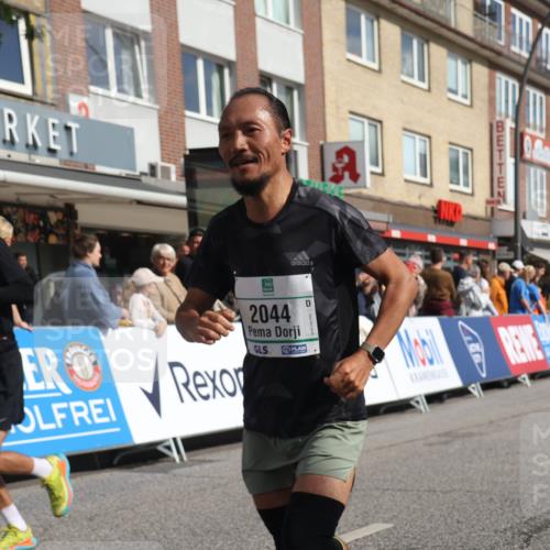 15.09.2024 - PSD Bank Halbmarathon Michael Strokosch http://msf.ph/oto/7061880 15.09.2024 11:47:26 Ziel 1053, 1078, 1100, 1297, 1300, 1485, 1488, 1490, 1624, 1648, 1785, 2044, 2104, 2243, 2491, 2532 meine-sportfotos.de