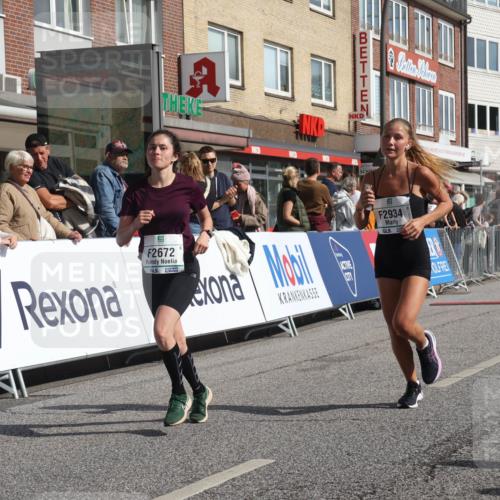 15.09.2024 - PSD Bank Halbmarathon Michael Strokosch http://msf.ph/oto/7062002 15.09.2024 11:47:47 Ziel 1278, 1594, 1637, 1688, 2041, 2654, 2672, 2934 meine-sportfotos.de