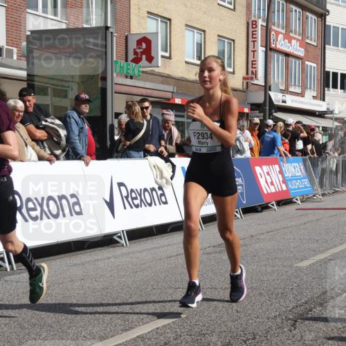 15.09.2024 - PSD Bank Halbmarathon Michael Strokosch http://msf.ph/oto/7062007 15.09.2024 11:47:48 Ziel 1278, 1688, 2041, 2654, 2672, 2934 meine-sportfotos.de