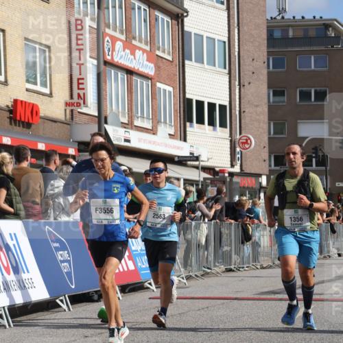 15.09.2024 - PSD Bank Halbmarathon Michael Strokosch http://msf.ph/oto/7062152 15.09.2024 11:48:10 Ziel 833, 1200, 1264, 1321, 1356, 1419, 1513, 1520, 1527, 1532, 1562, 1744, 2051, 2484, 2509, 2555, 2563, 2745, 2944, 3556 meine-sportfotos.de