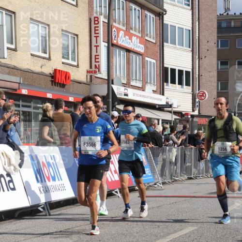 15.09.2024 - PSD Bank Halbmarathon Michael Strokosch http://msf.ph/oto/7062154 15.09.2024 11:48:10 Ziel 833, 1200, 1264, 1321, 1356, 1419, 1513, 1520, 1527, 1532, 1562, 1744, 2051, 2484, 2509, 2555, 2563, 2745, 2944, 3556 meine-sportfotos.de