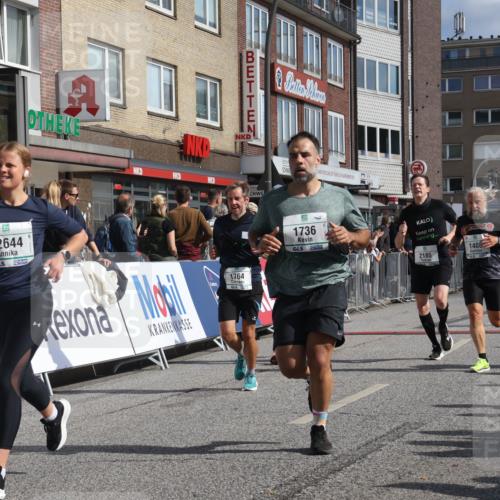 15.09.2024 - PSD Bank Halbmarathon Michael Strokosch http://msf.ph/oto/7062312 15.09.2024 11:48:38 Ziel 782, 1102, 1182, 1254, 1307, 1374, 1408, 1689, 1736, 1764, 2185, 2644 meine-sportfotos.de