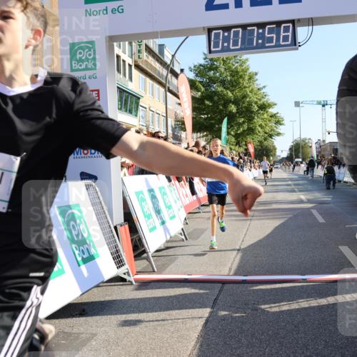 15.09.2024 - PSD Bank Halbmarathon Strokosch-Dieckow http://msf.ph/oto/7062410 15.09.2024 10:25:04 Ziel 61, 131, 211 meine-sportfotos.de