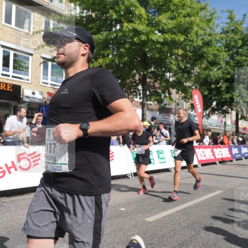 15.09.2024 - PSD Bank Halbmarathon Miley Keyser http://msf.ph/oto/7062754 15.09.2024 12:11:46 Ziel 1634, 1856, 2005, 2031, 2187, 2193, 2197, 2220, 2226, 2405, 2406, 2575, 2782, 2810, 2884, 3209, 3223, 3521 meine-sportfotos.de