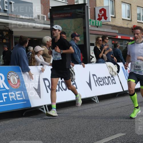 15.09.2024 - PSD Bank Halbmarathon Michael Strokosch http://msf.ph/oto/7062971 15.09.2024 11:50:40 Ziel 783, 974, 1296, 1493, 1501, 1632, 1666, 1813, 1940, 2492, 2658, 2666, 3545 meine-sportfotos.de