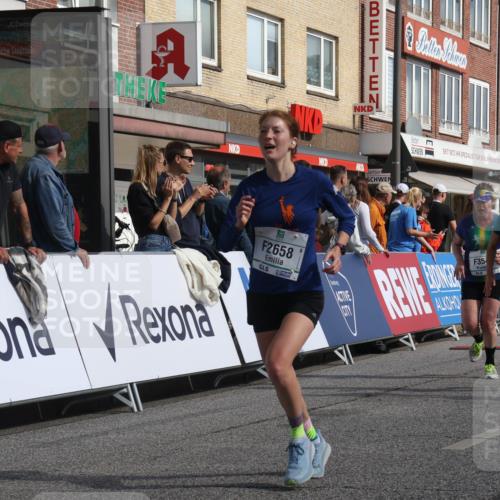 15.09.2024 - PSD Bank Halbmarathon Michael Strokosch http://msf.ph/oto/7063003 15.09.2024 11:50:46 Ziel 974, 1296, 1366, 1493, 1501, 1632, 1666, 1940, 2269, 2284, 2492, 2658, 2666, 3545 meine-sportfotos.de