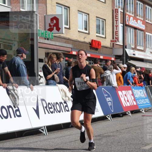 15.09.2024 - PSD Bank Halbmarathon Michael Strokosch http://msf.ph/oto/7063127 15.09.2024 11:51:10 Ziel 1150, 1406, 1645, 1705, 1735, 1913, 2898 meine-sportfotos.de