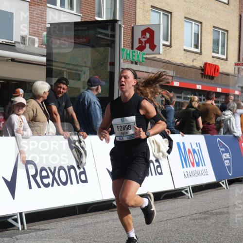 15.09.2024 - PSD Bank Halbmarathon Michael Strokosch http://msf.ph/oto/7063129 15.09.2024 11:51:10 Ziel 1150, 1406, 1645, 1705, 1735, 1913, 2898 meine-sportfotos.de