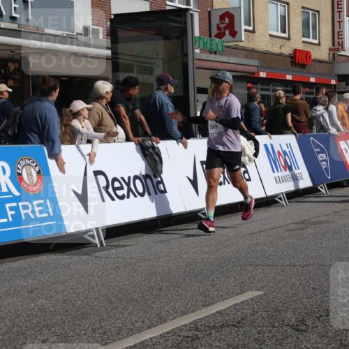 15.09.2024 - PSD Bank Halbmarathon Michael Strokosch http://msf.ph/oto/7063210 15.09.2024 11:51:32 Ziel 1192, 1434, 1553, 1772, 1873, 1876, 1954, 2314, 2504, 2566, 2569, 2636, 2749, 3035, 3169, 3547 meine-sportfotos.de