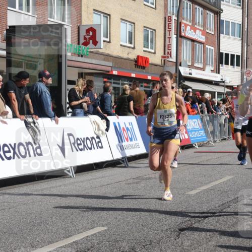 15.09.2024 - PSD Bank Halbmarathon Michael Strokosch http://msf.ph/oto/7063333 15.09.2024 11:51:51 Ziel 1494, 1552, 1606, 1661, 1767, 1793, 2487, 2536, 2725, 2775, 2825, 2835, 3518 meine-sportfotos.de