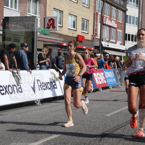 15.09.2024 - PSD Bank Halbmarathon Michael Strokosch http://msf.ph/oto/7063336 15.09.2024 11:51:52 Ziel 1494, 1552, 1606, 1661, 1767, 1793, 2487, 2536, 2725, 2775, 2825, 2835, 3518 meine-sportfotos.de