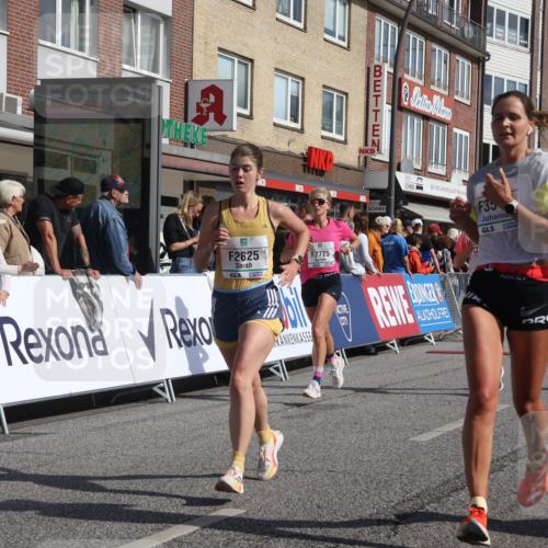 15.09.2024 - PSD Bank Halbmarathon Michael Strokosch http://msf.ph/oto/7063338 15.09.2024 11:51:52 Ziel 1494, 1552, 1606, 1661, 1767, 1793, 2487, 2536, 2725, 2775, 2825, 2835, 3518 meine-sportfotos.de