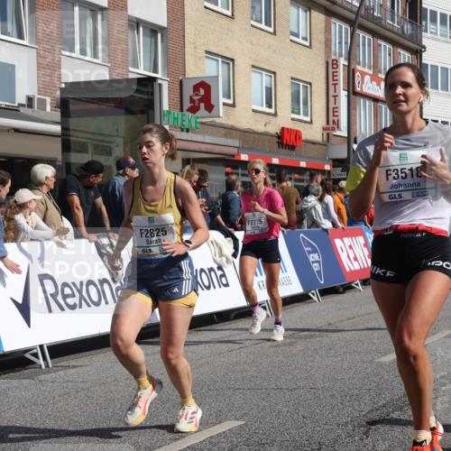 15.09.2024 - PSD Bank Halbmarathon Michael Strokosch http://msf.ph/oto/7063340 15.09.2024 11:51:52 Ziel 1494, 1552, 1606, 1661, 1767, 1793, 2487, 2536, 2725, 2775, 2825, 2835, 3518 meine-sportfotos.de