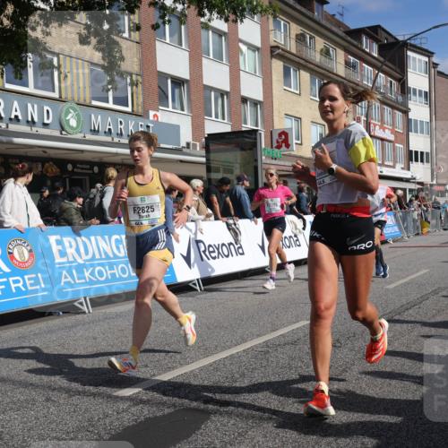 15.09.2024 - PSD Bank Halbmarathon Michael Strokosch http://msf.ph/oto/7063342 15.09.2024 11:51:53 Ziel 1494, 1552, 1606, 1661, 1767, 1793, 2487, 2536, 2725, 2775, 2825, 2835, 3518 meine-sportfotos.de