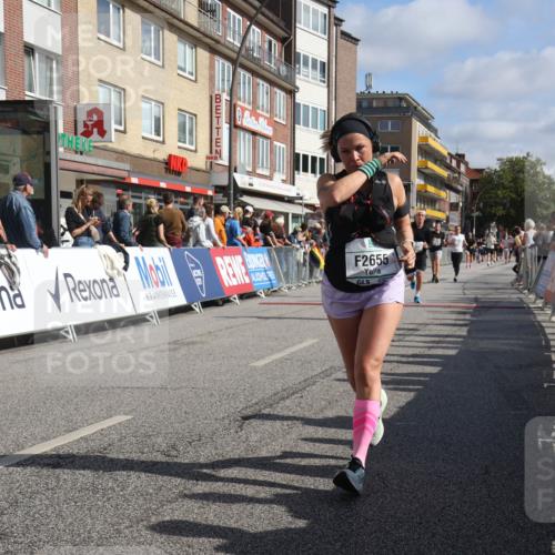 15.09.2024 - PSD Bank Halbmarathon Michael Strokosch http://msf.ph/oto/7063464 15.09.2024 11:52:11 Ziel 1354, 1380, 1667, 1908, 2182, 2422, 2493, 2502, 2655, 2693 meine-sportfotos.de