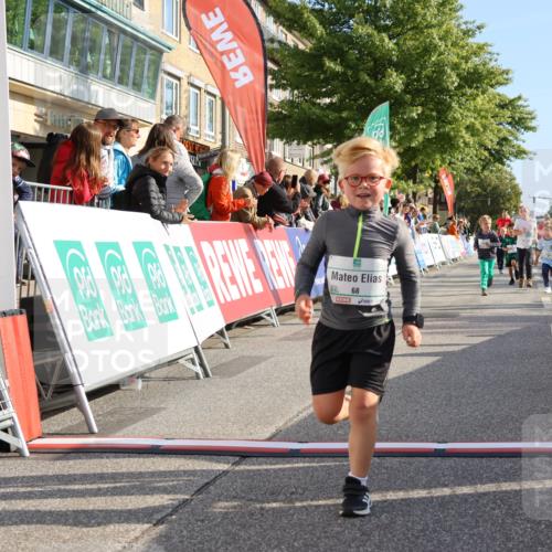 15.09.2024 - PSD Bank Halbmarathon Strokosch-Dieckow http://msf.ph/oto/7063478 15.09.2024 10:32:49 Ziel 1, 40, 68, 83, 157, 176, 182, 232, 283, 301 meine-sportfotos.de
