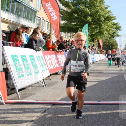15.09.2024 - PSD Bank Halbmarathon Strokosch-Dieckow http://msf.ph/oto/7063496 15.09.2024 10:32:49 Ziel 1, 40, 68, 83, 157, 176, 182, 232, 283, 301 meine-sportfotos.de
