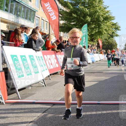 15.09.2024 - PSD Bank Halbmarathon Strokosch-Dieckow http://msf.ph/oto/7063515 15.09.2024 10:32:49 Ziel 1, 40, 68, 83, 157, 176, 182, 232, 283, 301 meine-sportfotos.de