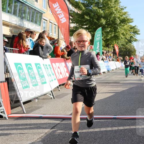 15.09.2024 - PSD Bank Halbmarathon Strokosch-Dieckow http://msf.ph/oto/7063532 15.09.2024 10:32:49 Ziel 1, 40, 68, 83, 157, 176, 182, 232, 283, 301 meine-sportfotos.de