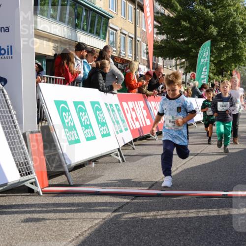 15.09.2024 - PSD Bank Halbmarathon Strokosch-Dieckow http://msf.ph/oto/7063560 15.09.2024 10:32:53 Ziel 1, 4, 40, 68, 83, 176, 182, 232, 241, 275, 283, 301, 302 meine-sportfotos.de