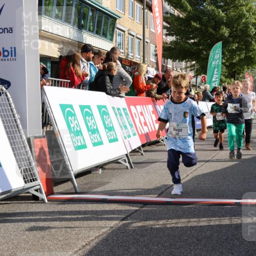 15.09.2024 - PSD Bank Halbmarathon Strokosch-Dieckow http://msf.ph/oto/7063573 15.09.2024 10:32:53 Ziel 1, 4, 40, 68, 83, 176, 182, 232, 241, 275, 283, 301, 302 meine-sportfotos.de