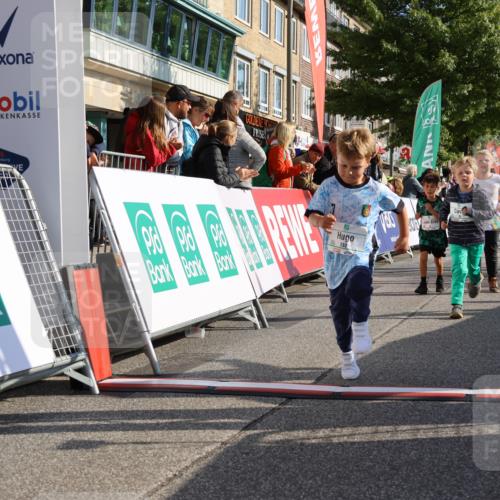 15.09.2024 - PSD Bank Halbmarathon Strokosch-Dieckow http://msf.ph/oto/7063586 15.09.2024 10:32:53 Ziel 1, 4, 40, 68, 83, 176, 182, 232, 241, 275, 283, 301, 302 meine-sportfotos.de
