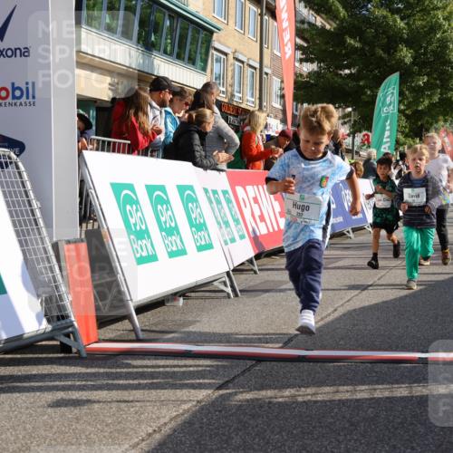 15.09.2024 - PSD Bank Halbmarathon Strokosch-Dieckow http://msf.ph/oto/7063606 15.09.2024 10:32:53 Ziel 1, 4, 40, 68, 83, 176, 182, 232, 241, 275, 283, 301, 302 meine-sportfotos.de