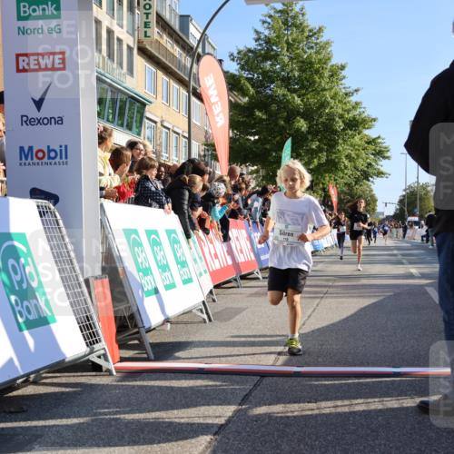 15.09.2024 - PSD Bank Halbmarathon Strokosch-Dieckow http://msf.ph/oto/7063614 15.09.2024 10:25:42 Ziel 7, 19, 36, 66, 110, 221, 238, 257 meine-sportfotos.de