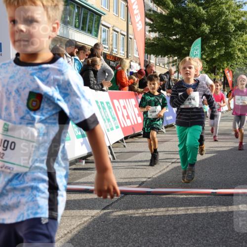 15.09.2024 - PSD Bank Halbmarathon Strokosch-Dieckow http://msf.ph/oto/7063619 15.09.2024 10:32:54 Ziel 1, 4, 40, 68, 83, 176, 182, 232, 241, 275, 283, 301, 302 meine-sportfotos.de