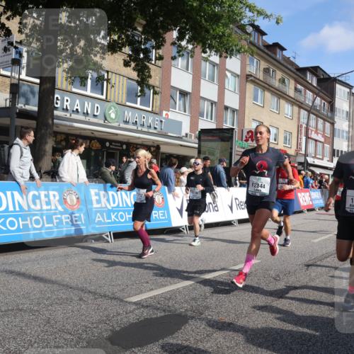 15.09.2024 - PSD Bank Halbmarathon Michael Strokosch http://msf.ph/oto/7063629 15.09.2024 11:52:35 Ziel 1197, 1210, 1276, 1342, 1378, 1416, 1511, 1556, 1569, 1595, 1676, 1685, 1696, 1776, 1798, 1801, 1812, 1834, 1893, 1980, 2153, 2507, 2663, 2712, 2741, 2744, 2844, 3527 meine-sportfotos.de