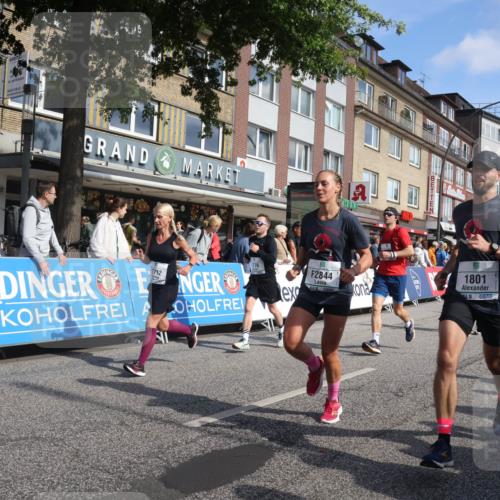 15.09.2024 - PSD Bank Halbmarathon Michael Strokosch http://msf.ph/oto/7063631 15.09.2024 11:52:36 Ziel 1197, 1210, 1276, 1342, 1378, 1416, 1511, 1569, 1573, 1595, 1676, 1685, 1696, 1776, 1798, 1801, 1812, 1834, 1893, 1907, 1980, 2130, 2153, 2507, 2663, 2712, 2741, 2744, 2844, 3527 meine-sportfotos.de