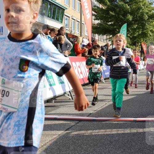 15.09.2024 - PSD Bank Halbmarathon Strokosch-Dieckow http://msf.ph/oto/7063635 15.09.2024 10:32:54 Ziel 1, 4, 40, 68, 83, 176, 182, 232, 241, 275, 283, 301, 302 meine-sportfotos.de