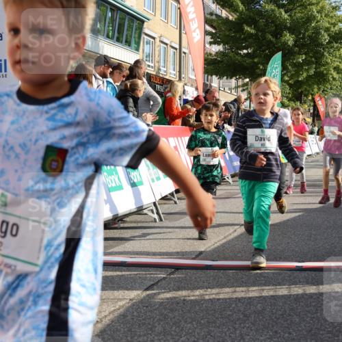 15.09.2024 - PSD Bank Halbmarathon Strokosch-Dieckow http://msf.ph/oto/7063653 15.09.2024 10:32:55 Ziel 1, 4, 40, 68, 83, 176, 182, 232, 241, 275, 283, 302 meine-sportfotos.de