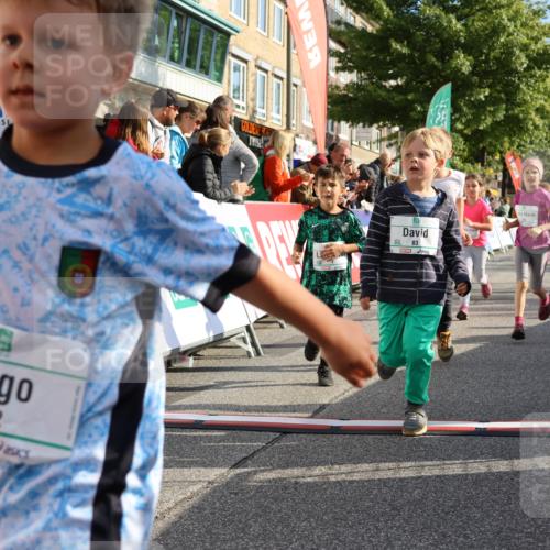 15.09.2024 - PSD Bank Halbmarathon Strokosch-Dieckow http://msf.ph/oto/7063667 15.09.2024 10:32:55 Ziel 1, 4, 40, 68, 83, 176, 182, 232, 241, 275, 283, 302 meine-sportfotos.de