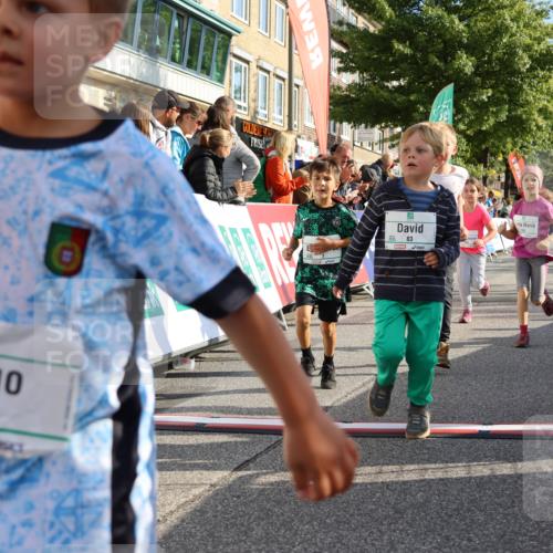 15.09.2024 - PSD Bank Halbmarathon Strokosch-Dieckow http://msf.ph/oto/7063681 15.09.2024 10:32:55 Ziel 1, 4, 40, 68, 83, 176, 182, 232, 241, 275, 283, 302 meine-sportfotos.de