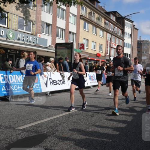 15.09.2024 - PSD Bank Halbmarathon Michael Strokosch http://msf.ph/oto/7063696 15.09.2024 11:52:44 Ziel 1188, 1210, 1276, 1416, 1511, 1543, 1573, 1595, 1676, 1685, 1776, 1798, 1801, 1808, 1811, 1812, 1893, 1907, 2130, 2507, 2663, 2712, 2741, 2744, 2844 meine-sportfotos.de