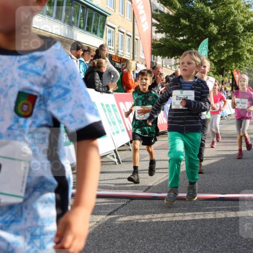 15.09.2024 - PSD Bank Halbmarathon Strokosch-Dieckow http://msf.ph/oto/7063701 15.09.2024 10:32:55 Ziel 1, 4, 40, 68, 83, 176, 182, 232, 241, 275, 283, 302 meine-sportfotos.de