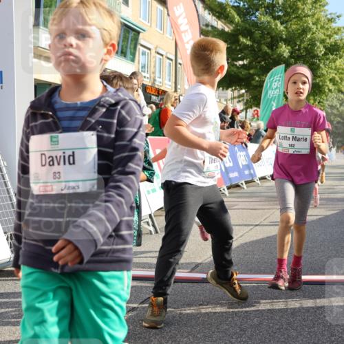 15.09.2024 - PSD Bank Halbmarathon Strokosch-Dieckow http://msf.ph/oto/7063718 15.09.2024 10:32:56 Ziel 1, 4, 33, 40, 68, 83, 176, 182, 232, 241, 275, 283, 302 meine-sportfotos.de