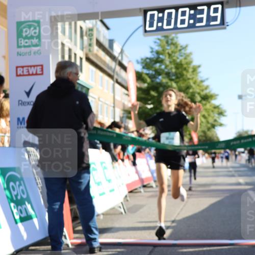 15.09.2024 - PSD Bank Halbmarathon Strokosch-Dieckow http://msf.ph/oto/7063728 15.09.2024 10:25:45 Ziel 36, 66, 110, 221, 238, 257 meine-sportfotos.de
