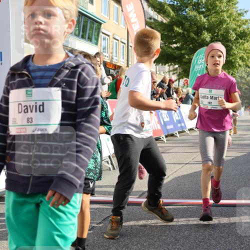 15.09.2024 - PSD Bank Halbmarathon Strokosch-Dieckow http://msf.ph/oto/7063732 15.09.2024 10:32:56 Ziel 1, 4, 33, 40, 68, 83, 176, 182, 232, 241, 275, 283, 302 meine-sportfotos.de