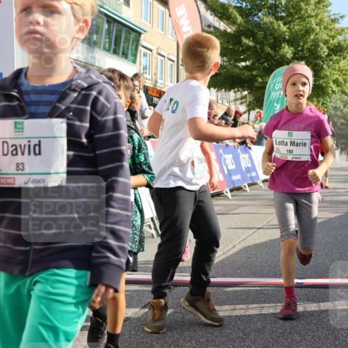 15.09.2024 - PSD Bank Halbmarathon Strokosch-Dieckow http://msf.ph/oto/7063751 15.09.2024 10:32:57 Ziel 1, 4, 33, 68, 83, 176, 182, 232, 241, 275, 283, 302 meine-sportfotos.de