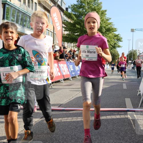 15.09.2024 - PSD Bank Halbmarathon Strokosch-Dieckow http://msf.ph/oto/7063769 15.09.2024 10:32:57 Ziel 1, 4, 33, 68, 83, 176, 182, 232, 241, 275, 283, 302 meine-sportfotos.de