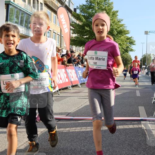15.09.2024 - PSD Bank Halbmarathon Strokosch-Dieckow http://msf.ph/oto/7063785 15.09.2024 10:32:57 Ziel 1, 4, 33, 68, 83, 176, 182, 232, 241, 275, 283, 302 meine-sportfotos.de