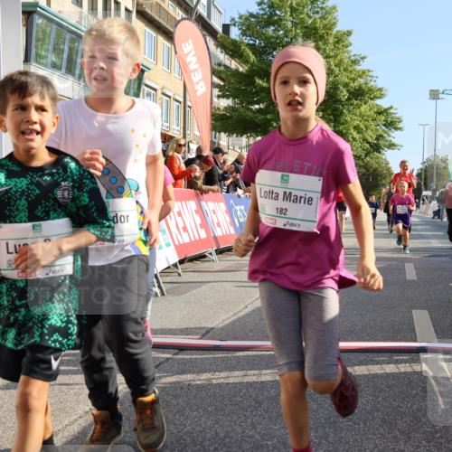 15.09.2024 - PSD Bank Halbmarathon Strokosch-Dieckow http://msf.ph/oto/7063801 15.09.2024 10:32:57 Ziel 1, 4, 33, 68, 83, 176, 182, 232, 241, 275, 283, 302 meine-sportfotos.de